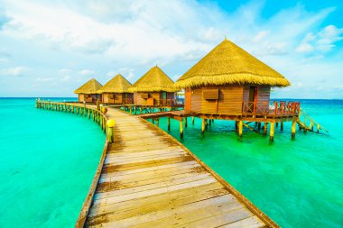 Güzel tropikal Maldivler ada