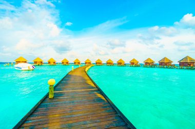 Güzel tropikal Maldivler ada