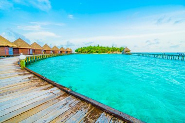 Güzel tropikal maldivler tatil beldesi