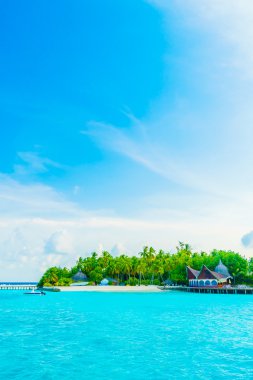 Güzel tropikal maldivler tatil beldesi