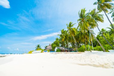 Güzel tropikal maldivler tatil beldesi