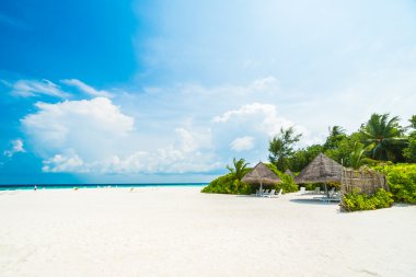 tropikal plaj ve deniz otel resort çevresinde