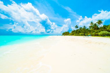 Tropikal plaj ve deniz Maldivler Island