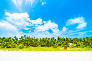 Tropikal plaj ve deniz Maldivler Island