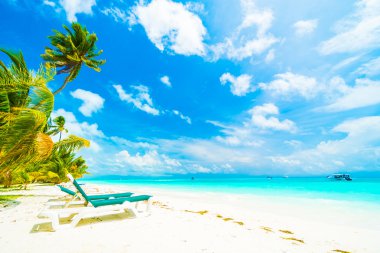 Tropikal plaj ve deniz Maldivler Island