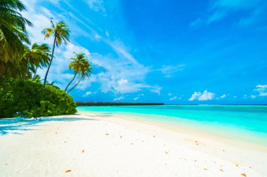 Tropikal plaj ve deniz Maldivler Island