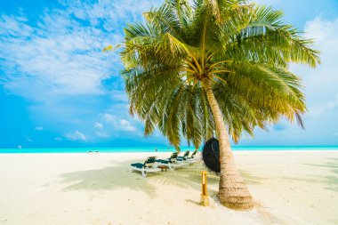 Güzel tropikal plaj ve deniz