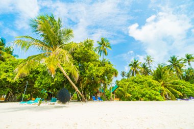 Güzel tropikal plaj ve deniz