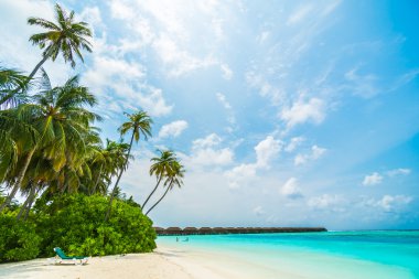Güzel tropikal Maldivler ada