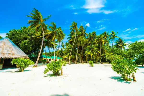 Tropikal plaj ve deniz Maldivler Island