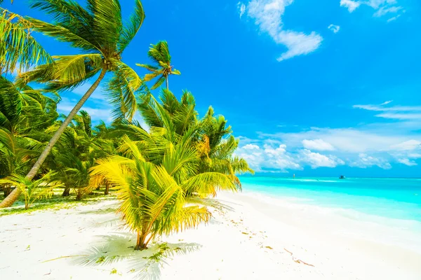 Tropikal plaj ve deniz Maldivler Island — Stok fotoğraf