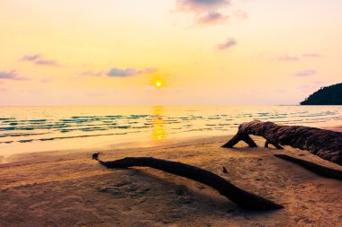 güzel tropik okyanus