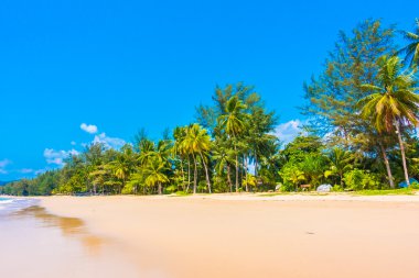 Güzel tropikal plaj ve deniz