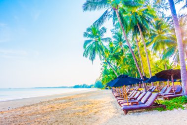 Şemsiye ve tropikal plaj sandalye