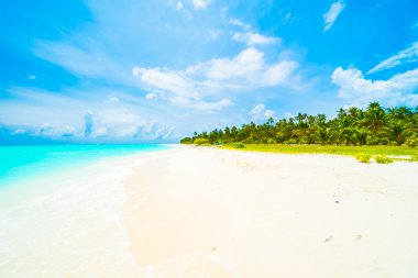 Güzel bir plaj ve deniz Maldivler Island