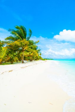 Güzel bir plaj ve deniz Maldivler Island