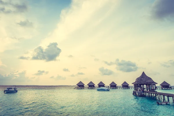 Güzel tropikal Maldivler ada