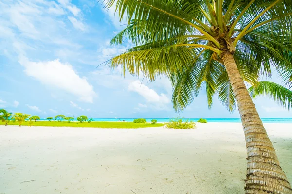 Mooie Maldiven island — Stockfoto