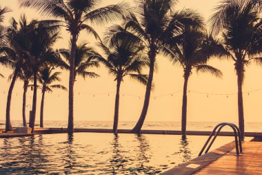 gün batımı ile siluet palmiye ağacı