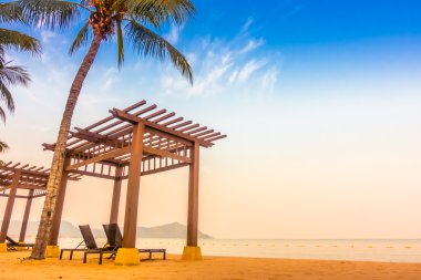 Güzel bir plaj ve deniz ile palmiye ağacı