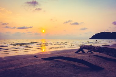 güzel tropik okyanus