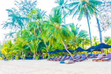 Şemsiye ve tropikal plaj sandalye