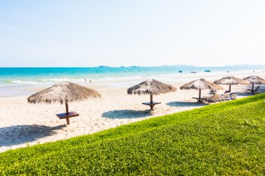 Güzel tropikal plaj şemsiye