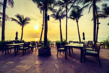 Plaj ve deniz güzel Hindistan cevizi hurma ağacı