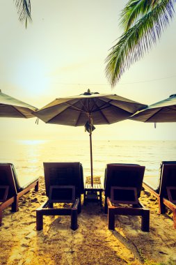 Plaj ve deniz güzel Hindistan cevizi hurma ağacı