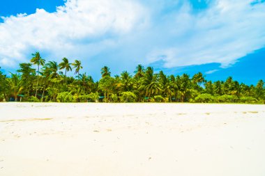 Güzel bir plaj ve deniz Maldivler Island
