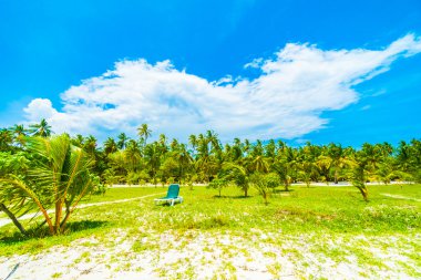 Güzel bir plaj ve deniz Maldivler Island