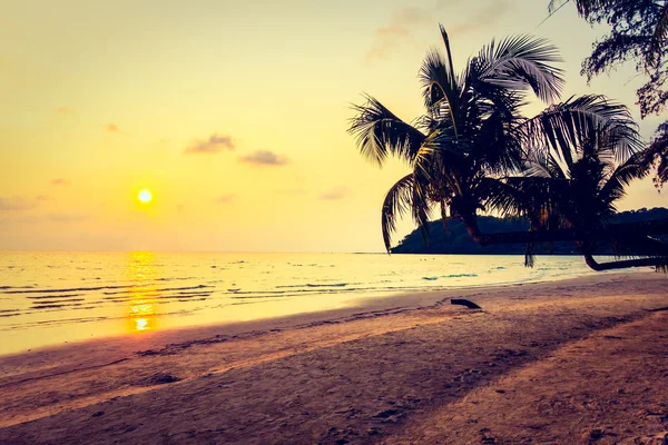 Silhouetten van kokosnoot palmen — Stockfoto