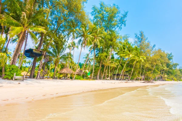 güzel tropik okyanus