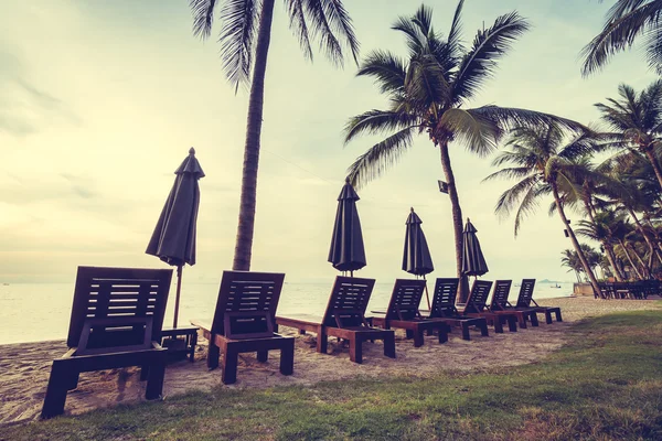 Plaj ve deniz güzel Hindistan cevizi hurma ağacı