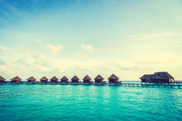 Güzel Maldivler ada