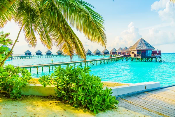 Güzel tropikal Maldivler ada