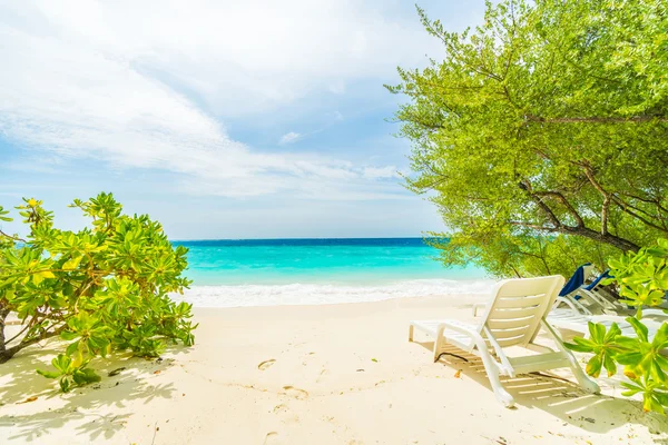 Güzel Maldivler ada