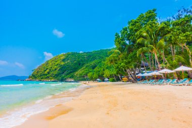 Güzel tropikal plaj ve deniz