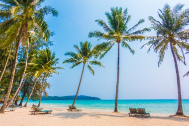 güzel tropik okyanus