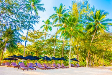 Şemsiye ve tropikal plaj sandalye