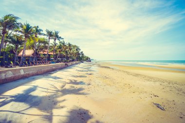 Şemsiye ve tropikal plaj sandalye