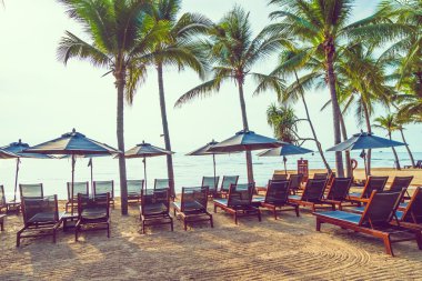 Plaj ve deniz güzel Hindistan cevizi hurma ağacı