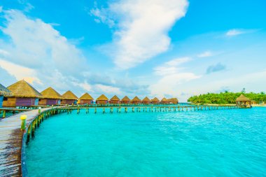 Güzel tropikal Maldivler ada