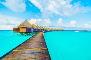 Güzel tropikal Maldivler ada