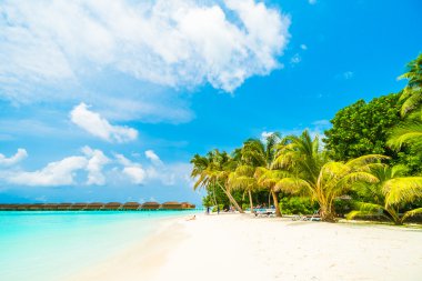 Güzel Maldivler ada