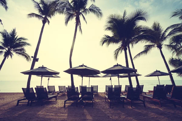 Bela palmeira de coco na praia e no mar — Fotografia de Stock