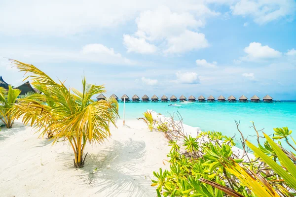 Hermosa isla de Maldivas — Foto de Stock