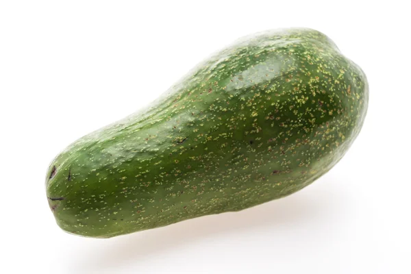 Grüne frische Avocado — Stockfoto