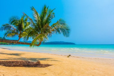 güzel tropik okyanus