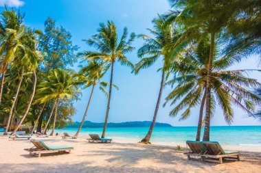 güzel tropik okyanus